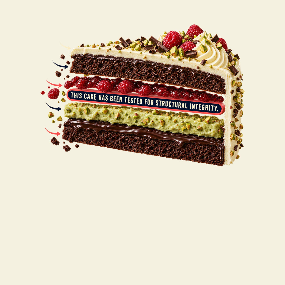THIS CAKE HAS BEEN TESTED FOR STRUCTURAL INTEGRITY. funny baking T-shirt artwork