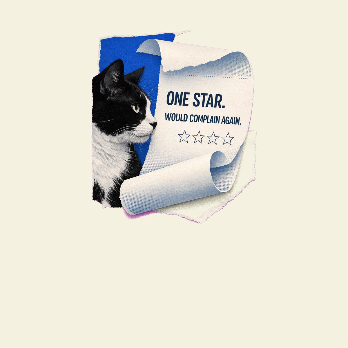 ONE STAR. WOULD COMPLAIN AGAIN. funny cat T-shirt artwork